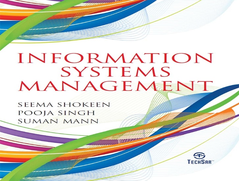 Information Systems Management