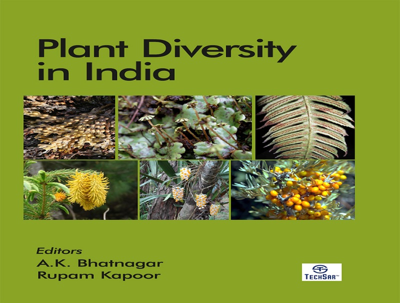 Plant Diversity in India