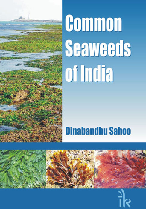 Common Seaweeds of India