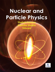 Nuclear and Particle Physics